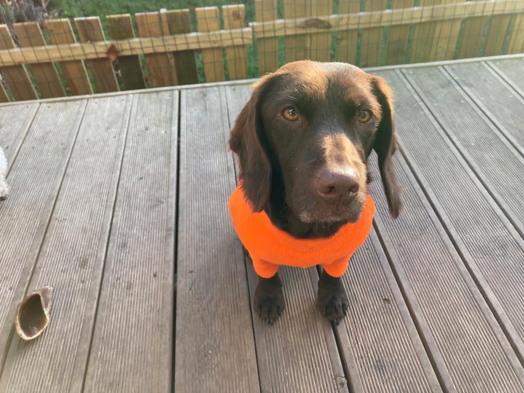 Cora wearing an orange jumper
